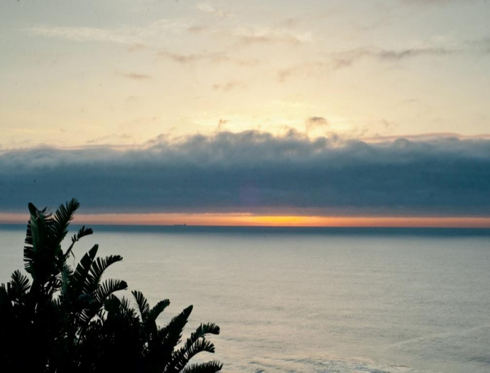 The Tides Inn Bed And Breakfast Durban Exteriér fotografie